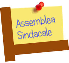 assemblea 7